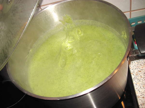 fichier 20130327_2103_002soupe_courgettes_celeri_fenouil_aspect_cremeux_apres_3mn_feu_doux-0.jpg