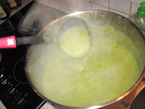 fichier 20130327_2113_soupe_courgettes_celeri_fenouil_pret_a_servir-0.jpg