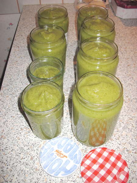 fichier 20130327_2226_soupe_courgettes_celeri_fenouil_quantite_de_soupe-0.jpg