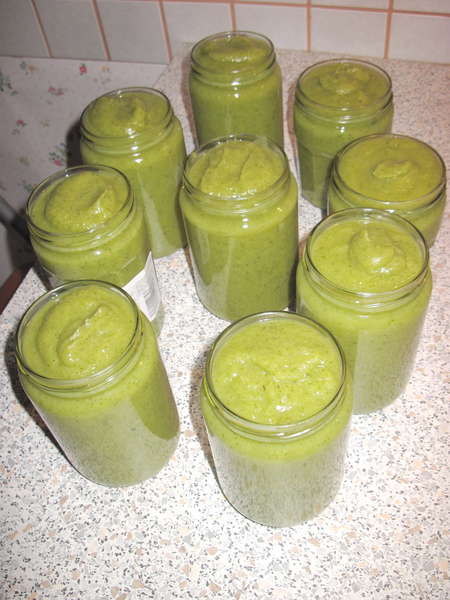 fichier 20130406_2057_001soupe_de_courgettes_fenouil_5kgrs_courgettes_2_celeri_4_fenouil_quantite_obtenue-0.jpg