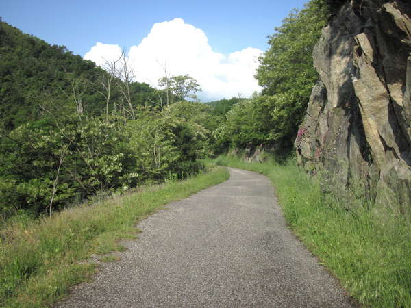 fichier 20130526_0904_d270_route-0.jpg