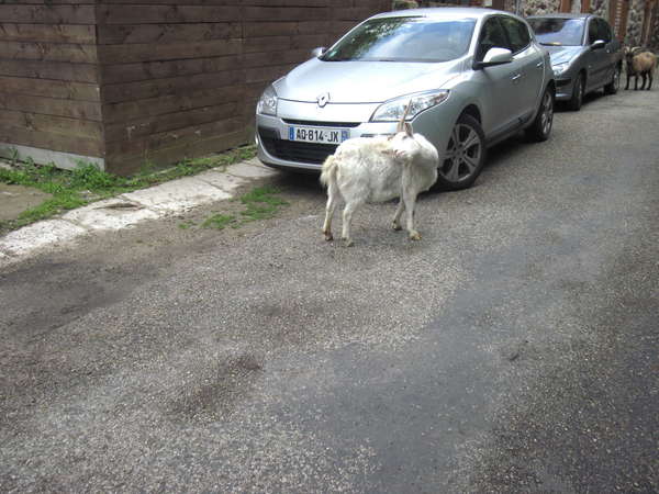 fichier 20130526_0936_900d270_route_biquette-0.jpg