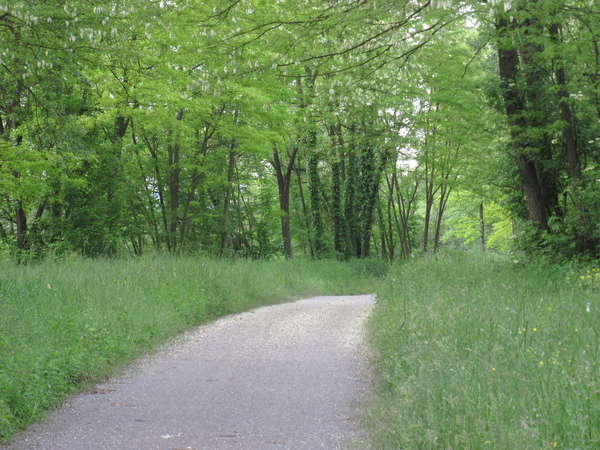 fichier 20130527_1912_002pc_route-0.jpg