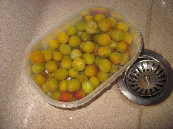 fichier 20130824_1737_recette_flan_mirabelles_laver_les_mirabelles-0.jpg