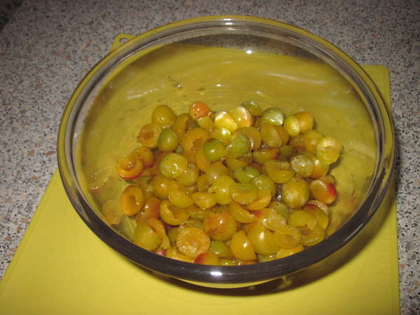 fichier 20130824_1752_recette_flan_mirabelles_retirer_le_noyau-0.jpg