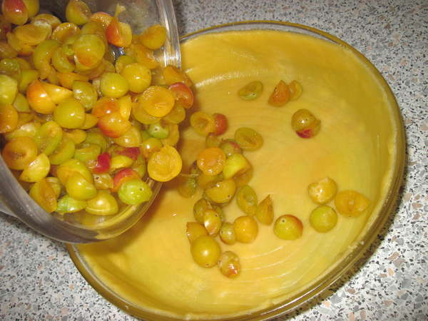 fichier 20130824_1821_recette_flan_mirabelles_mettre_mirabelles_dans_le_moule-0.jpg