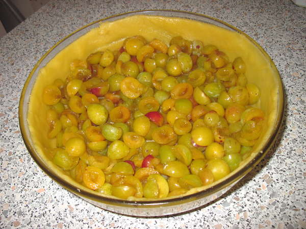 fichier 20130824_1823_recette_flan_mirabelles_mirabelles_dans_le_moule-0.jpg