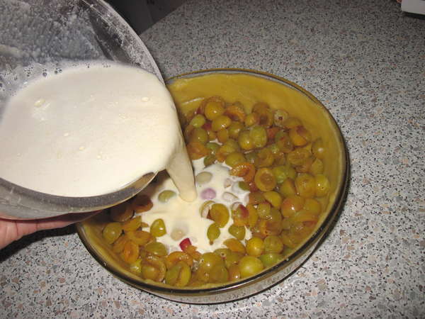 fichier 20130824_1825_002recette_flan_mirabelles_ajouter_la_preparation_par_dessus-0.jpg