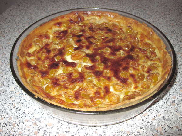 fichier 20130824_2037_001recette_flan_mirabelles_aspect_apres_1h10_cuisson-0.jpg