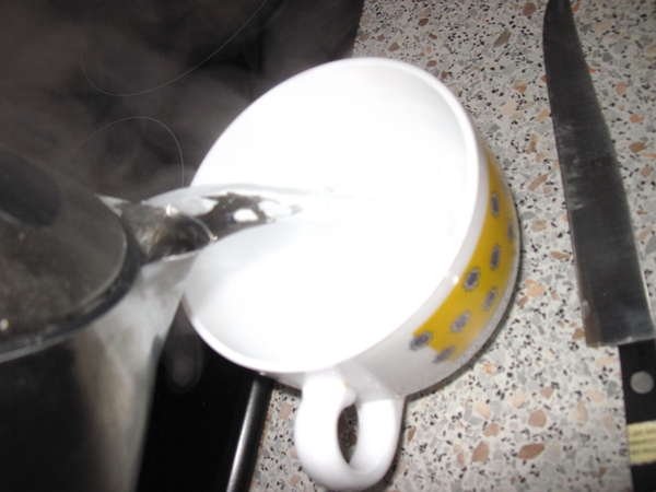 fichier 20131013_1534_002recette_tarte_tomme_de_savoie_eau_bouillante-0.jpg