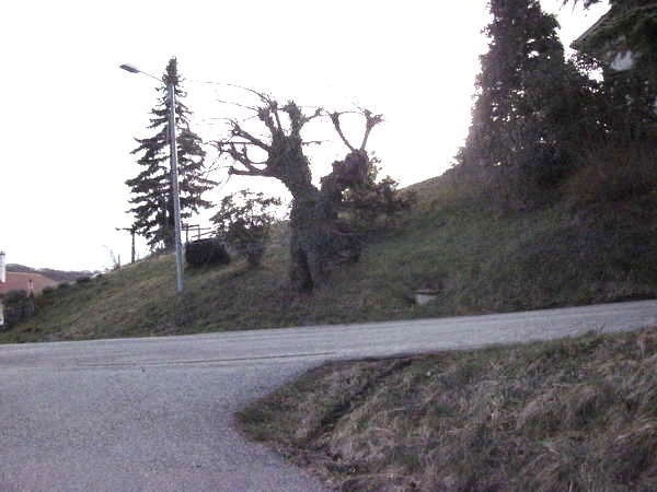 fichier 20140222_0934_002d518_route_varacieux_route_thomas_d155-0.jpg