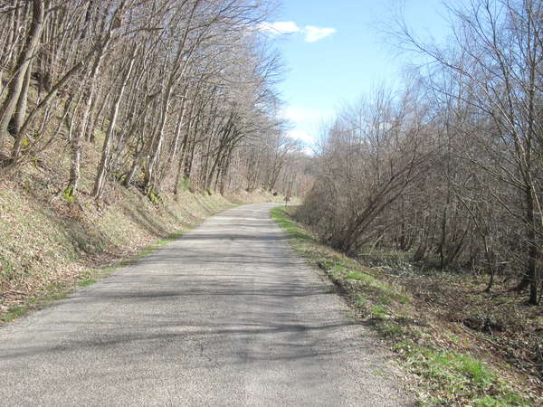 fichier 20140222_1402_c2_route-0.jpg