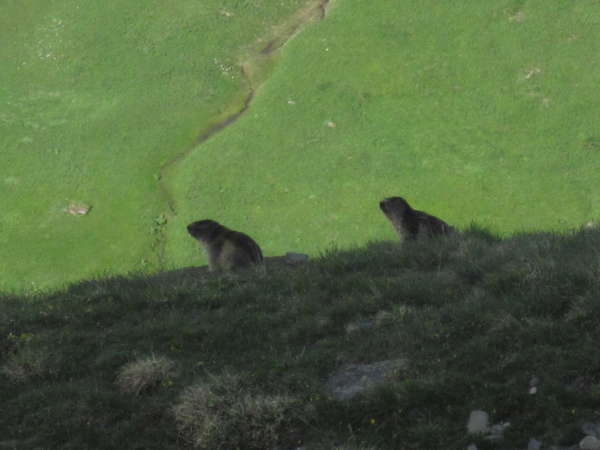 fichier 20140608_0756_001d902_route_mamottes-0.jpg