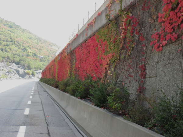 fichier 20141004_1218_001d1006_route-0.jpg