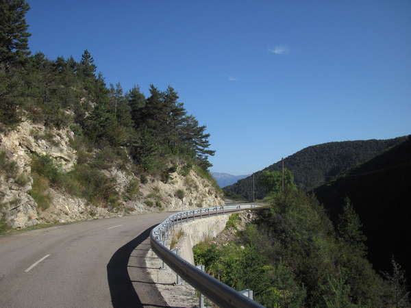 fichier 1100_0008_noyer_20140914_1013_d61_route-0.jpg