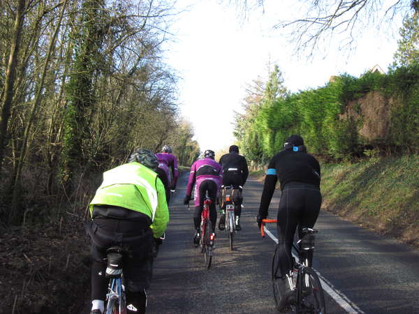 fichier 20150117_1211_001brm_200k_willy_warmer_group_andrew_stevens-cox-0.jpg