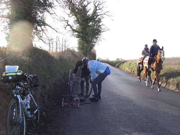 fichier 20150117_1356_003brm_200k_willy_warmer_andrew_stevens-cox_crevaison_cavaliers-0.jpg