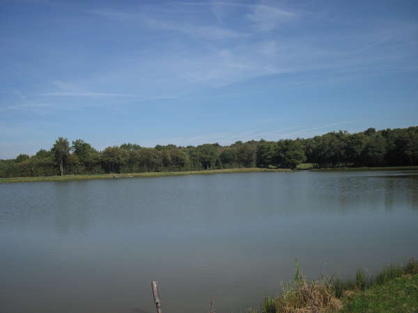 fichier 20140928_1341_002d37_route_la_cage_etang-0.jpg