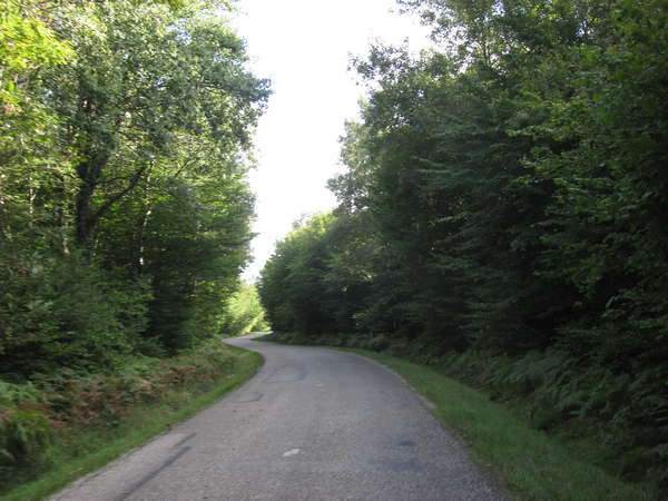 fichier 20140928_1645_d121_route_montee_apres_moras_en_valloire-0.jpg