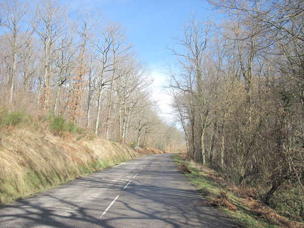 fichier 20140222_1403_100d157_route-0.jpg