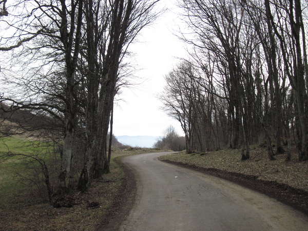 fichier 20150328_1222_001d54_route-0.jpg