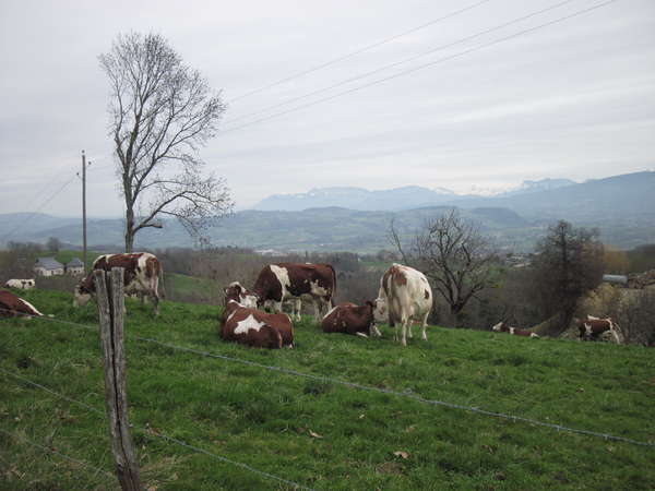 fichier 20150328_1245_002d153a_route-0.jpg