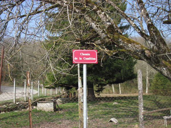 fichier 20150319_1049_001cv_route_bognens_chemin_de_la_condition-0.jpg