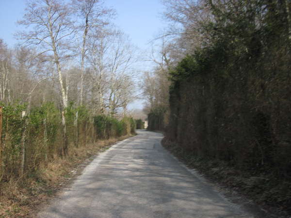 fichier 20150319_1049_002cv_route-0.jpg