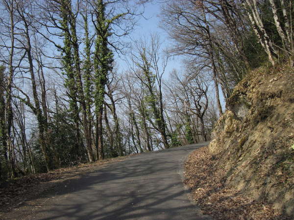 fichier 20150319_1335_d54_route-0.jpg