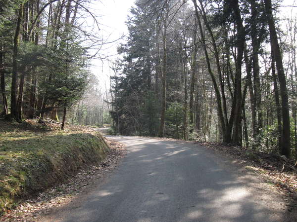 fichier 20150319_1356_d54_route-0.jpg