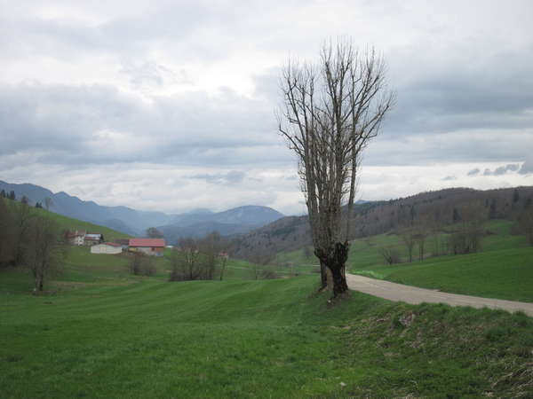 fichier 20150419_1255_d103_route-0.jpg