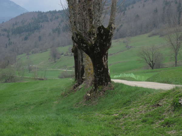 fichier 20150419_1332_001d103_route-0.jpg