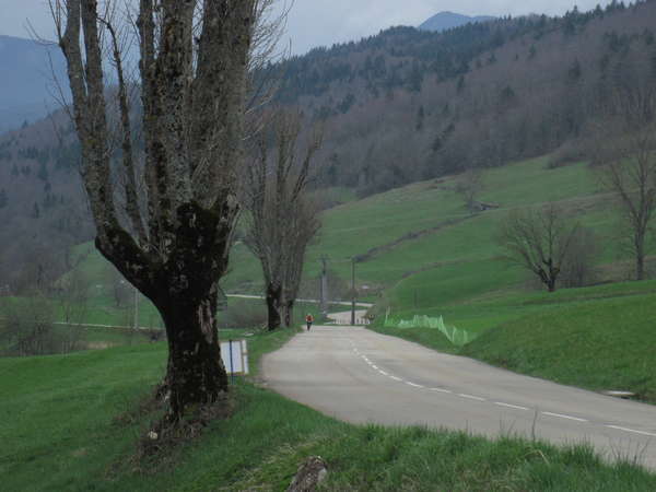 fichier 20150419_1333_d103_route_serge_biesuz-0.jpg