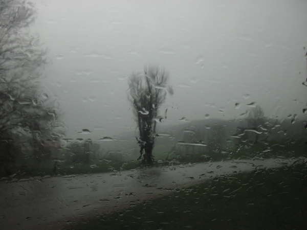 fichier 20150419_1452_002d103_route_pluie-0.jpg