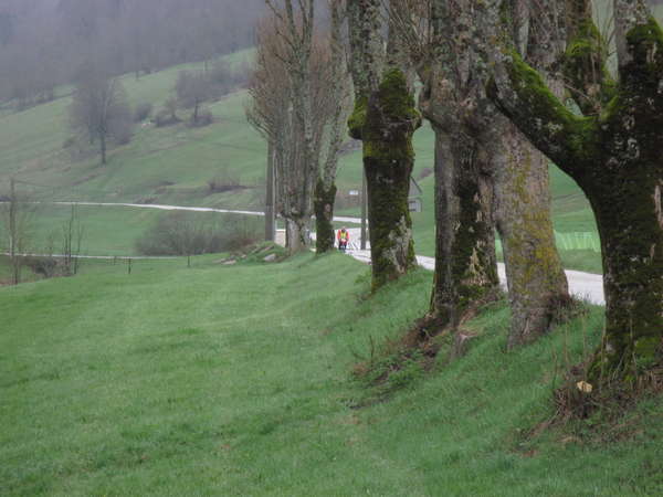 fichier 20150419_1636_001d103_route_philippe_roux-0.jpg