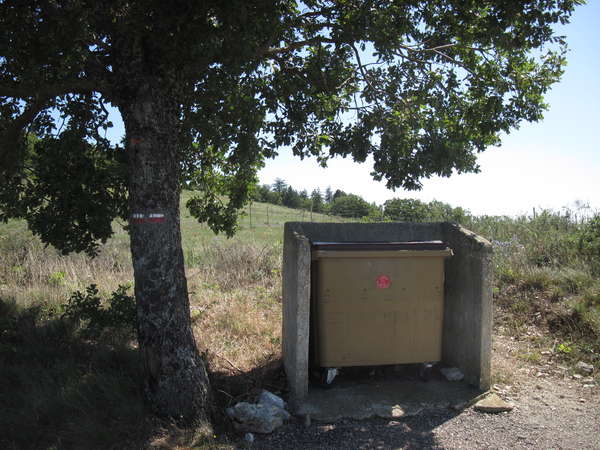 fichier 20140816_1529_d5_route_saint_hubert_arbre_et_poubelle-0.jpg