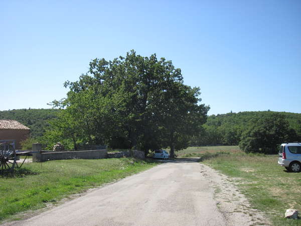fichier 20140816_1531_001d5_route_saint_hubert-0.jpg