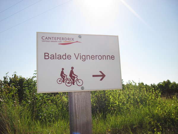 fichier 20140816_1720_002cv_route_suivre_balade_vigneronne-0.jpg