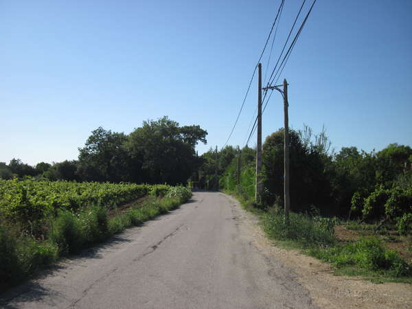 fichier 20140816_1730_002cv_route-0.jpg