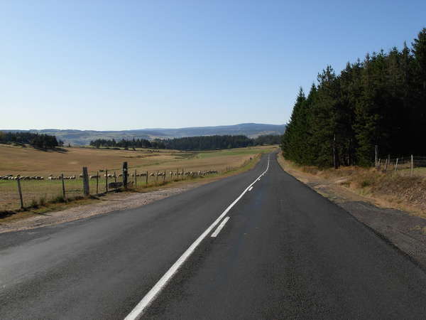 fichier 20111006_1047_002d585_route_descente-0.jpg