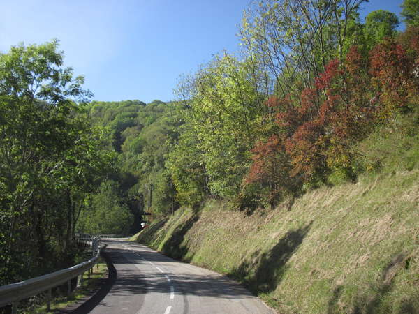 fichier 20140927_1521_d927_route-0.jpg