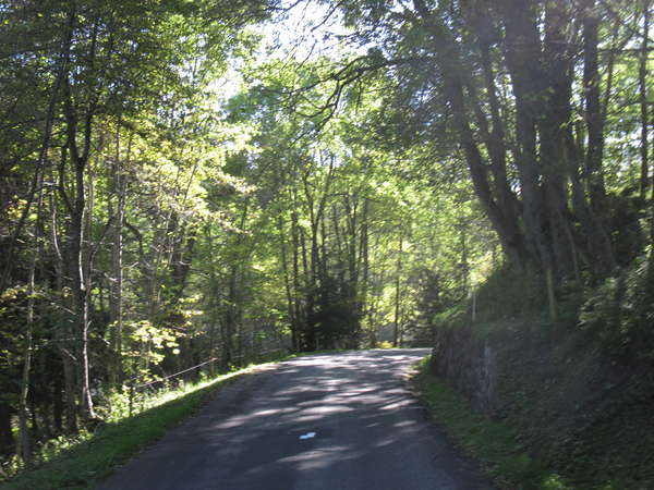 fichier 20140927_1555_d927_route-0.jpg