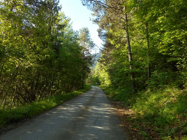 fichier 20160522_0807_d219_route-0.jpg