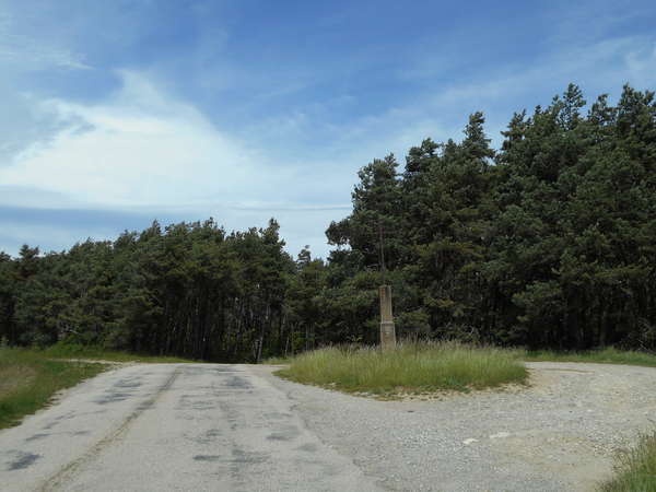 fichier 20160522_1321_cv_route_collet_dherans_croix-0.jpg