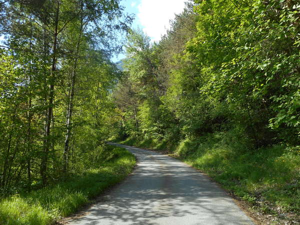 fichier 20150906_1155_d219_route_20160518_0942_002d219_route-0.jpg