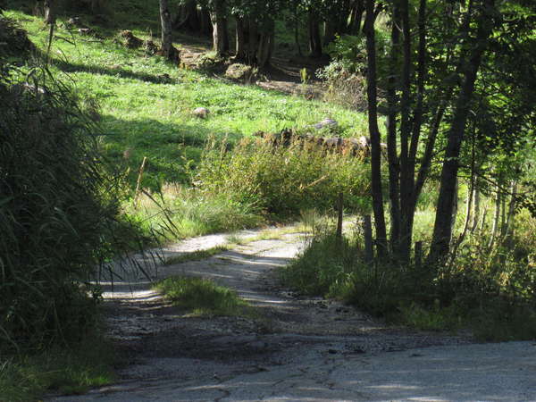 fichier 20150912_1058_001d210_route_ancienne_route-0.jpg