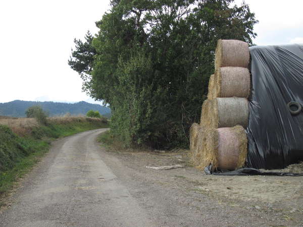 fichier 20150912_1517_cv_route-0.jpg