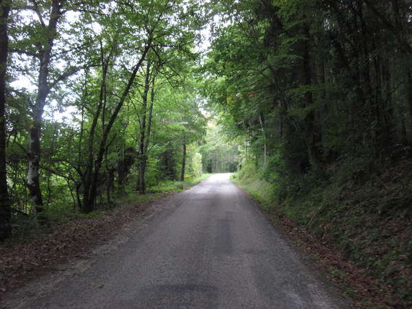 fichier 20150912_1621_cv_route-0.jpg