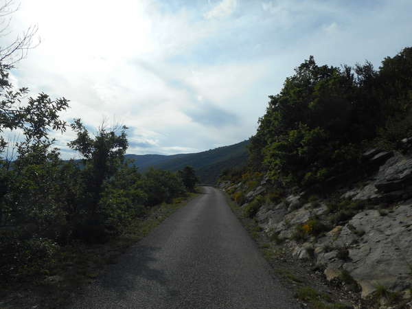 fichier 20160604_1815_d25_route_apres_rosans-0.jpg