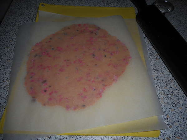 fichier 20160923_1855_001recette_sables_pralines_roses_etaler_seconde_boule_de_pate-0.jpg